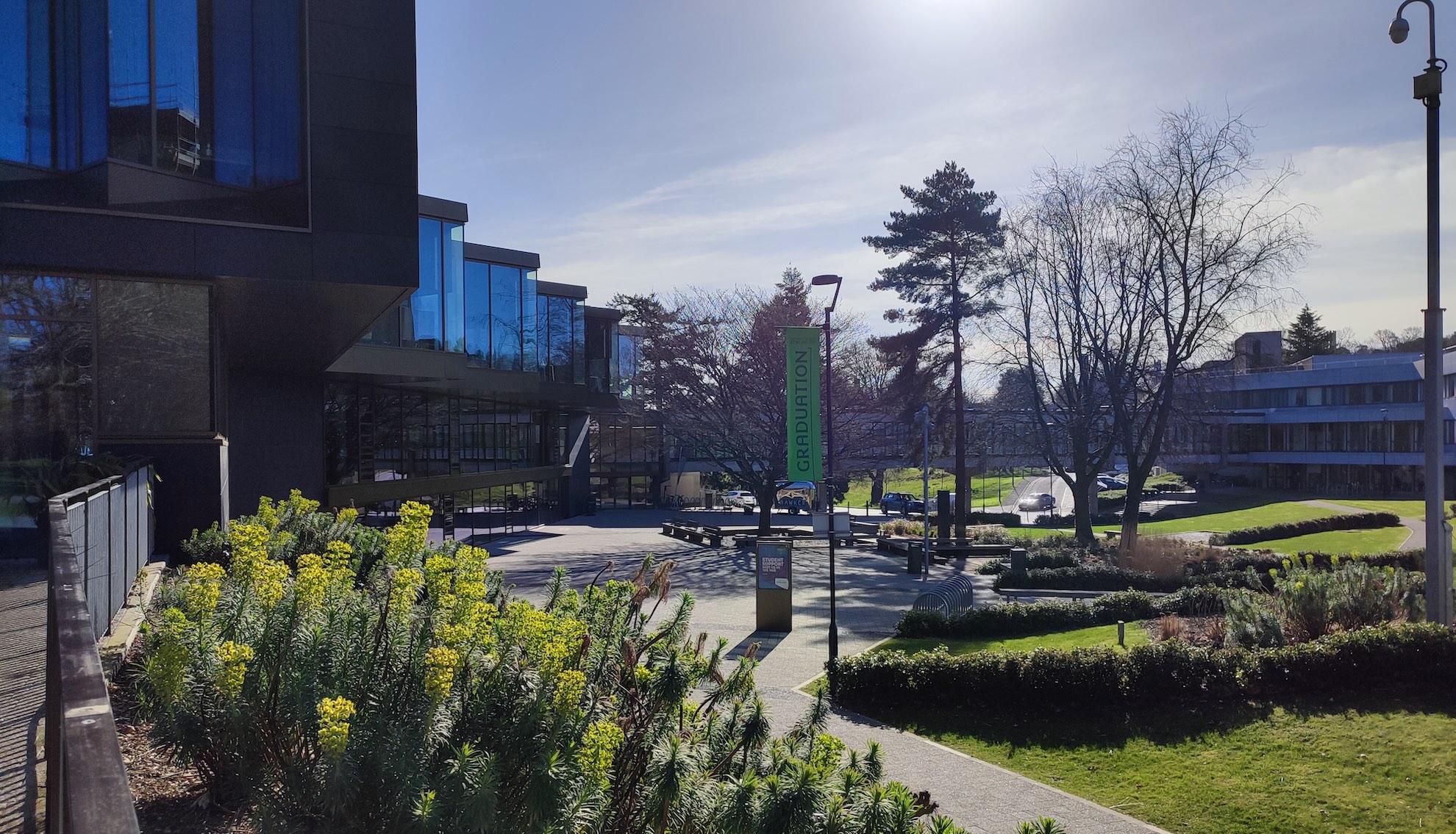 Garden area outside of a university building, bright blue sky, a pathway bordered by hedges and a building on the left hand side.
