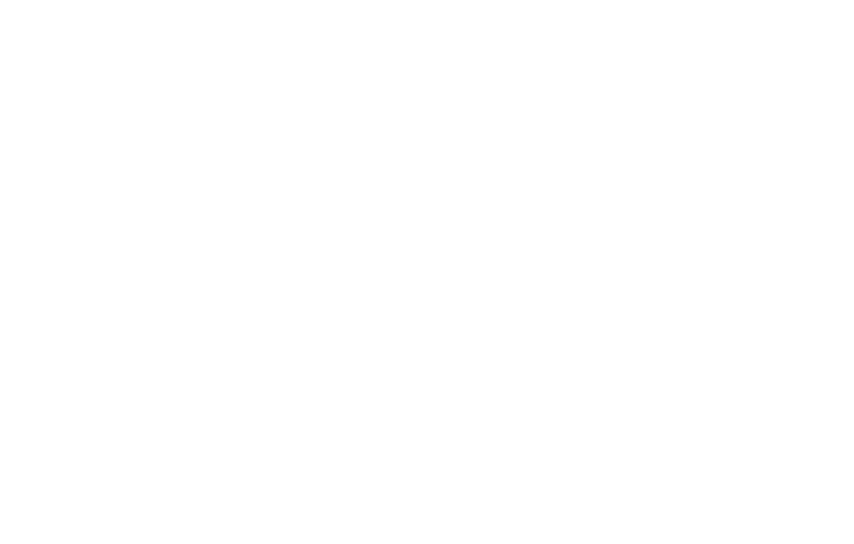 White Sports Union Logo
