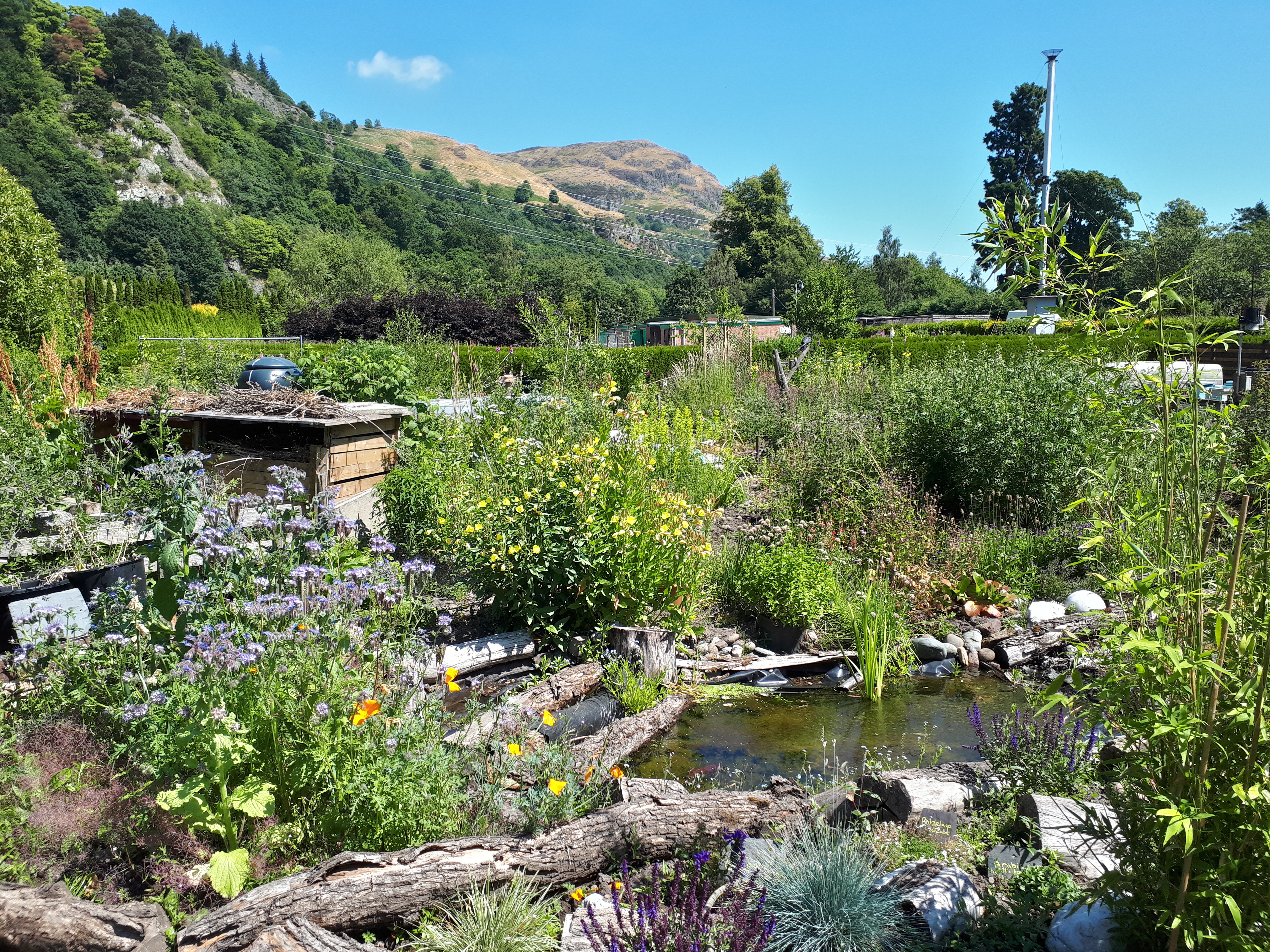 View of the Students' Union Community Garden east from mid point